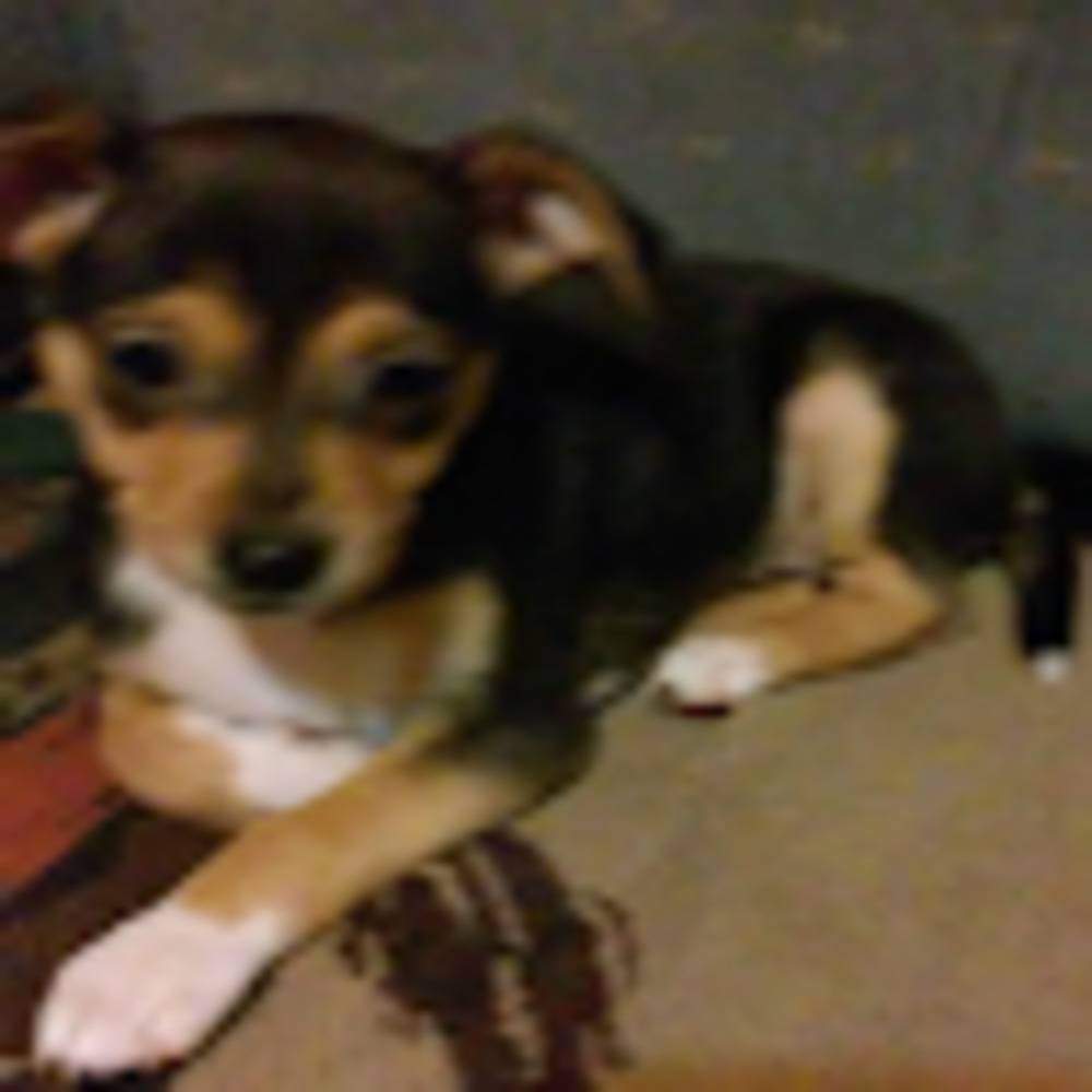 Meet your Posher, Mystical